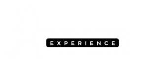 experiencetourpanama.com